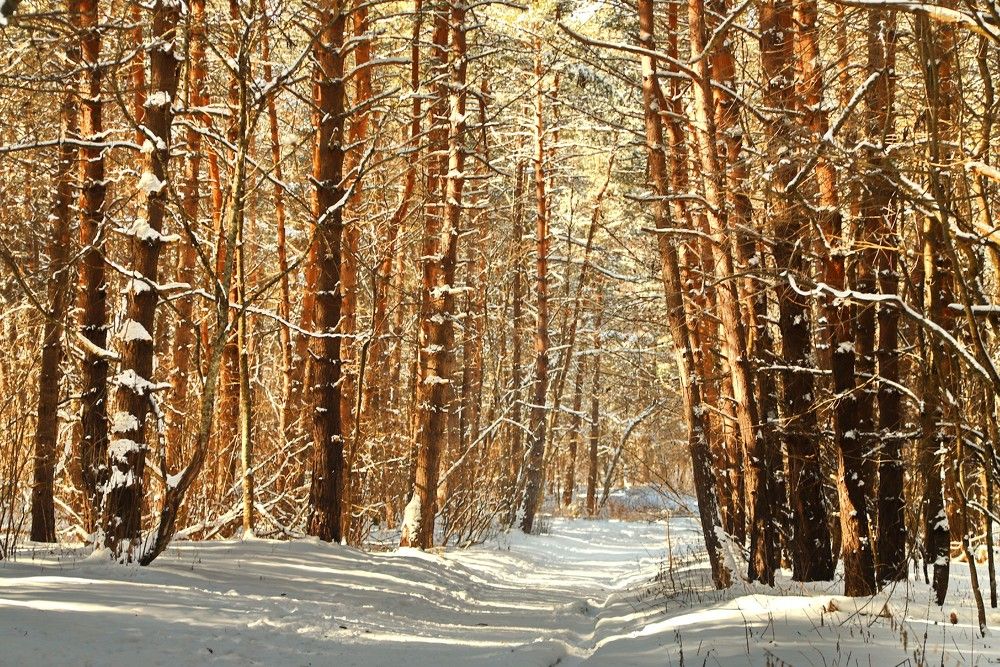 Photograph by Лада Денисова