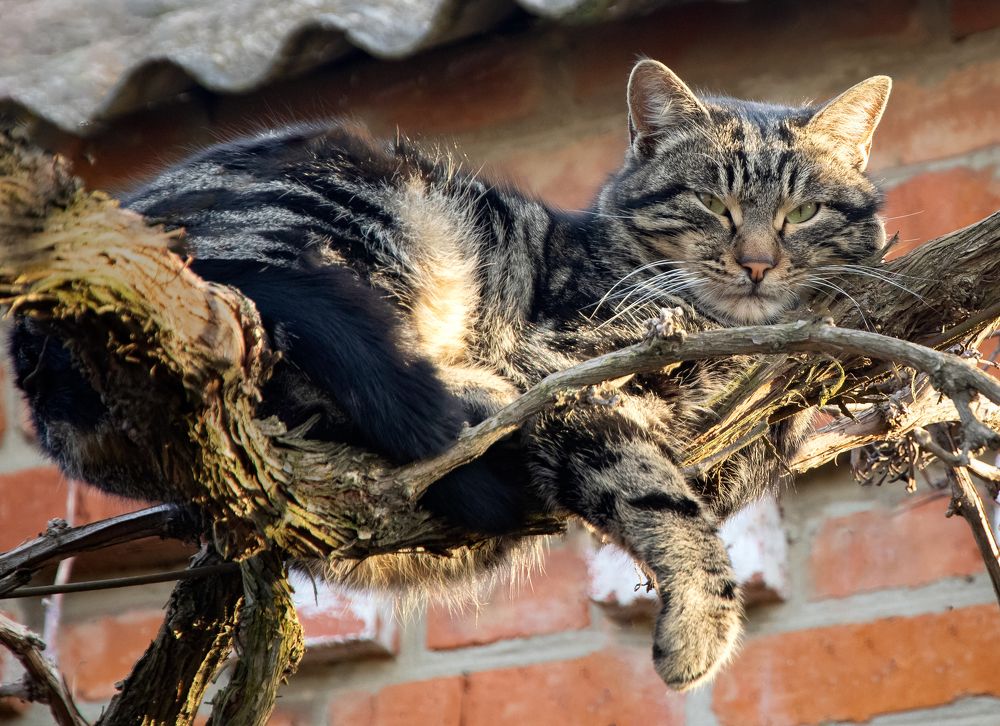 Photograph by Анастасия Трофимовская