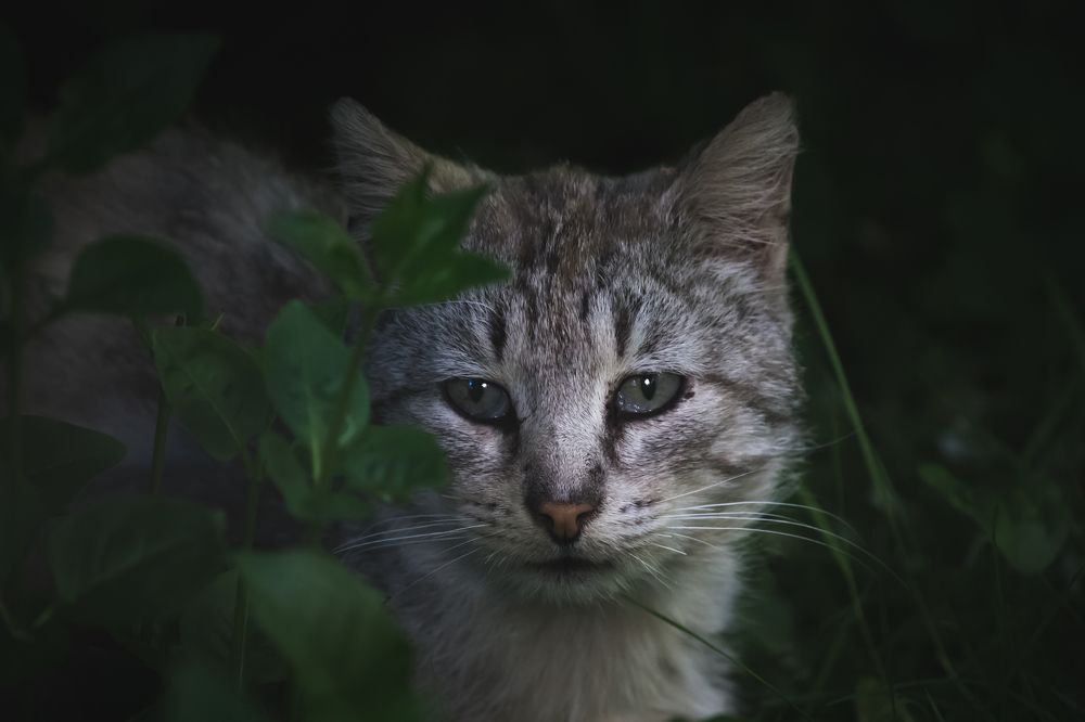 Photograph by Olga Snai