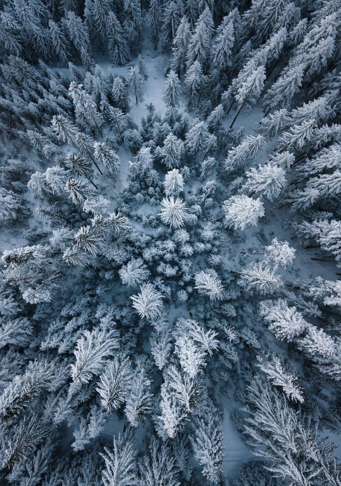 Photograph by Demir Pepic