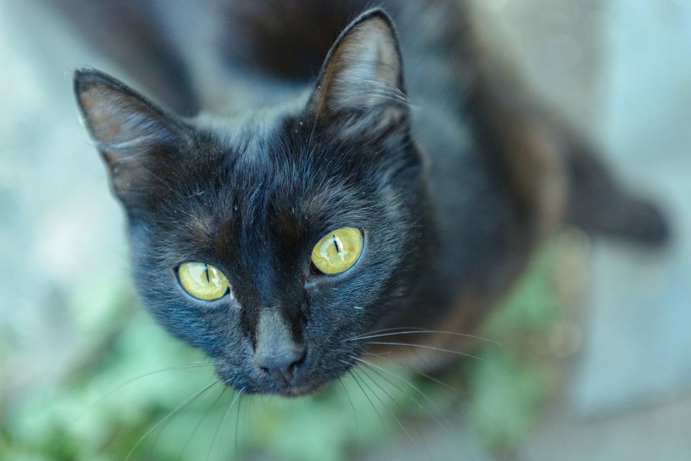 Photograph by Константин Зоткин