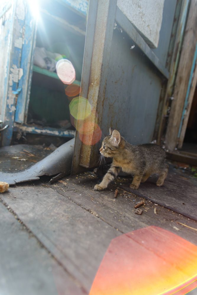 Photograph by Константин Зоткин