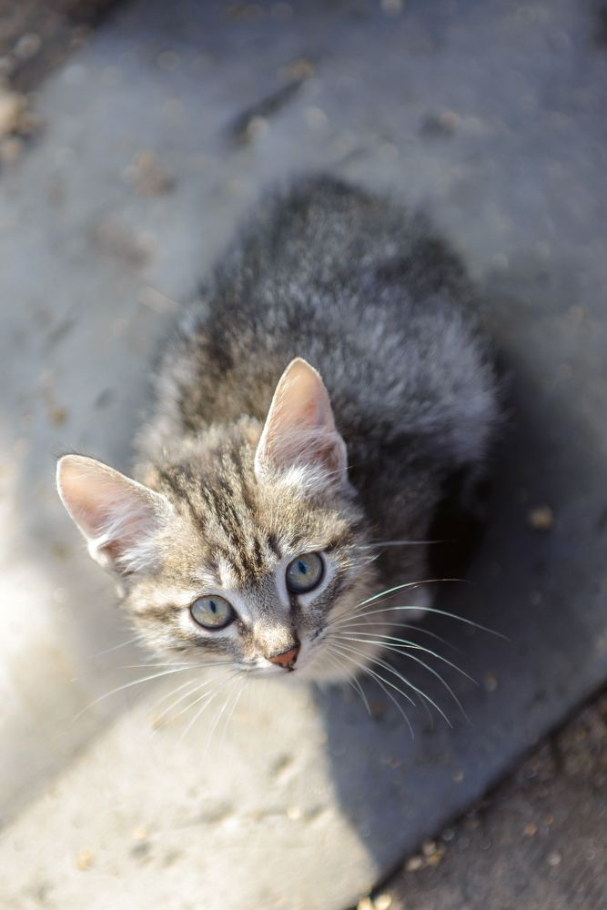 Photograph by Константин Зоткин