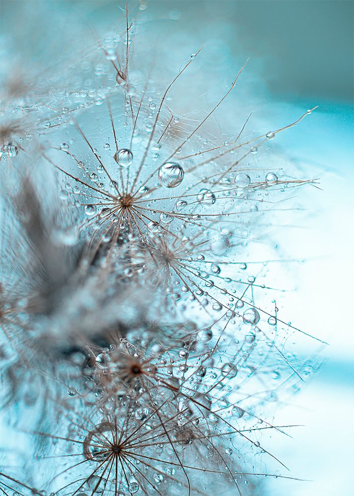 Photograph by irina sherry