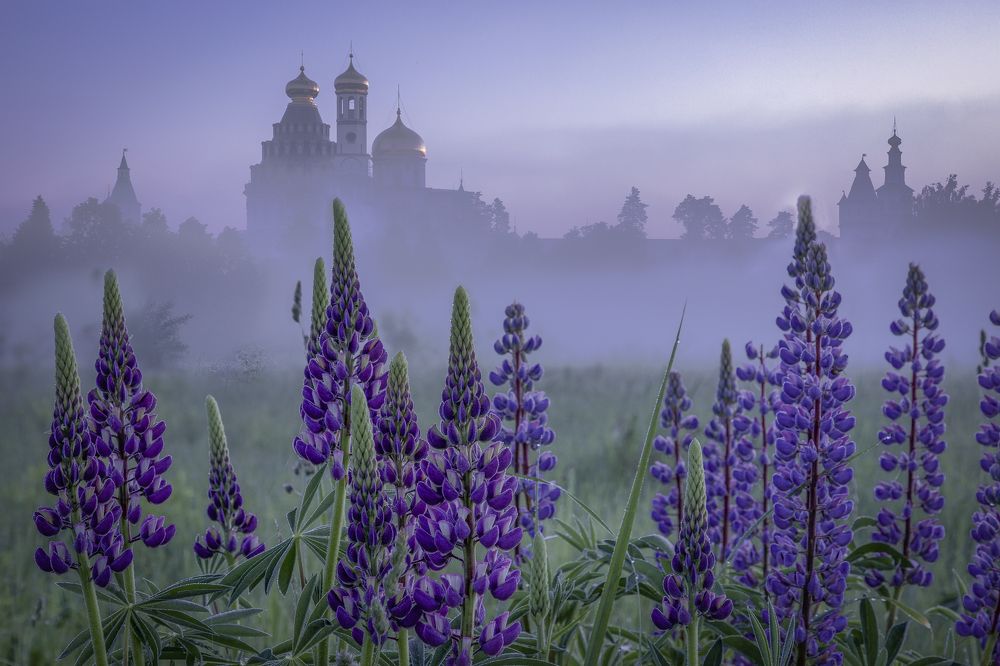 Photograph by Елена Гусева