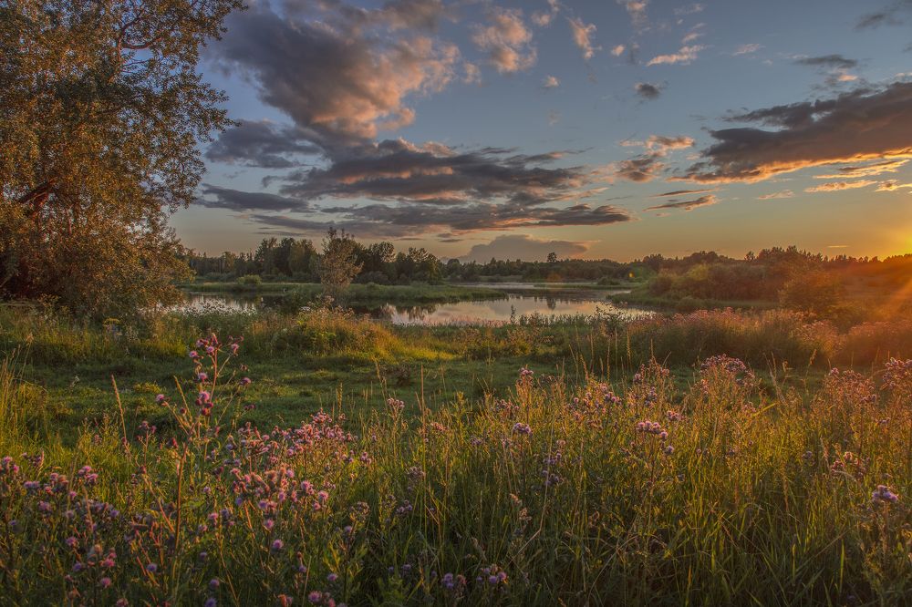 Photograph by Елена Гусева