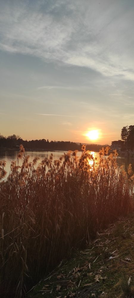 Photograph by Марина Ланг