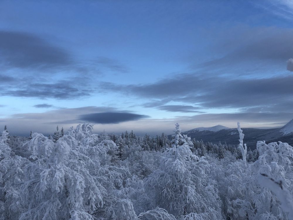 Фотография автора Евгения Елисеева