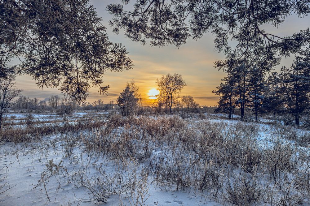 Photograph by Михаил Смирнов