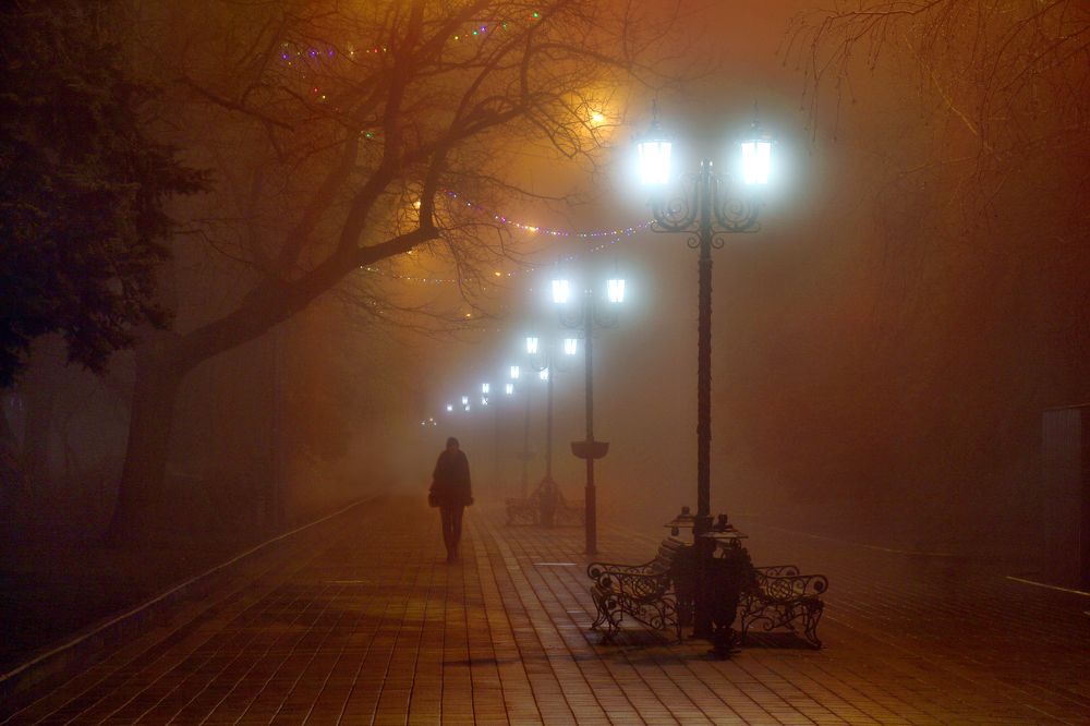 «Аллея. Туман. Настроение»