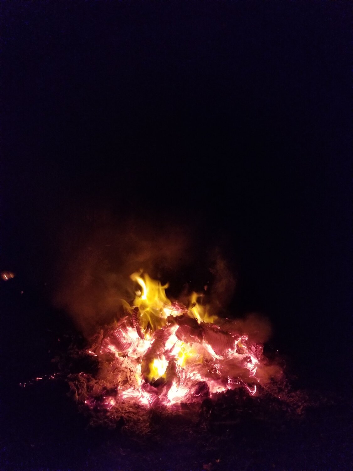 Photo #8867793