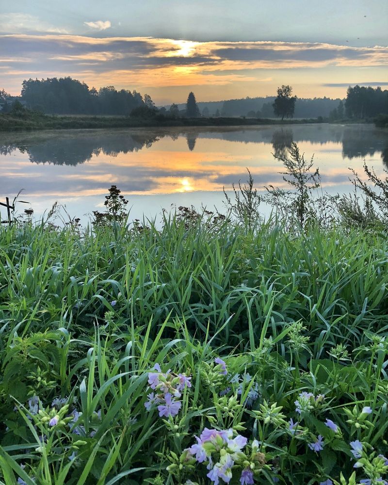 Photograph by Лариса Акинчиц