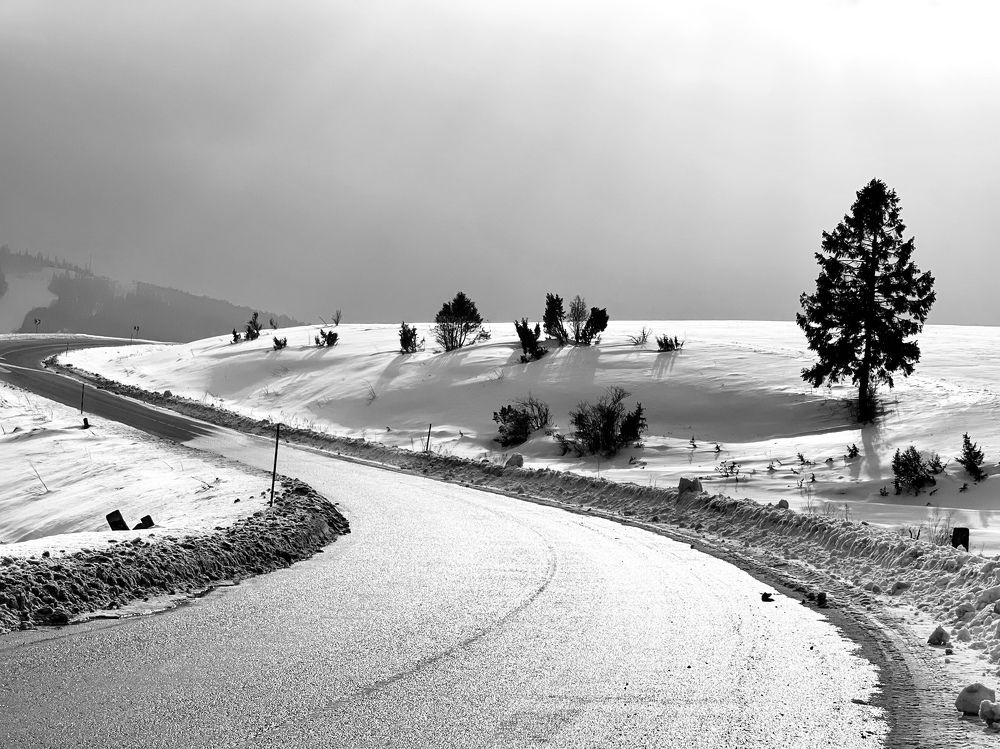 Photograph by Светлана Ткаченко