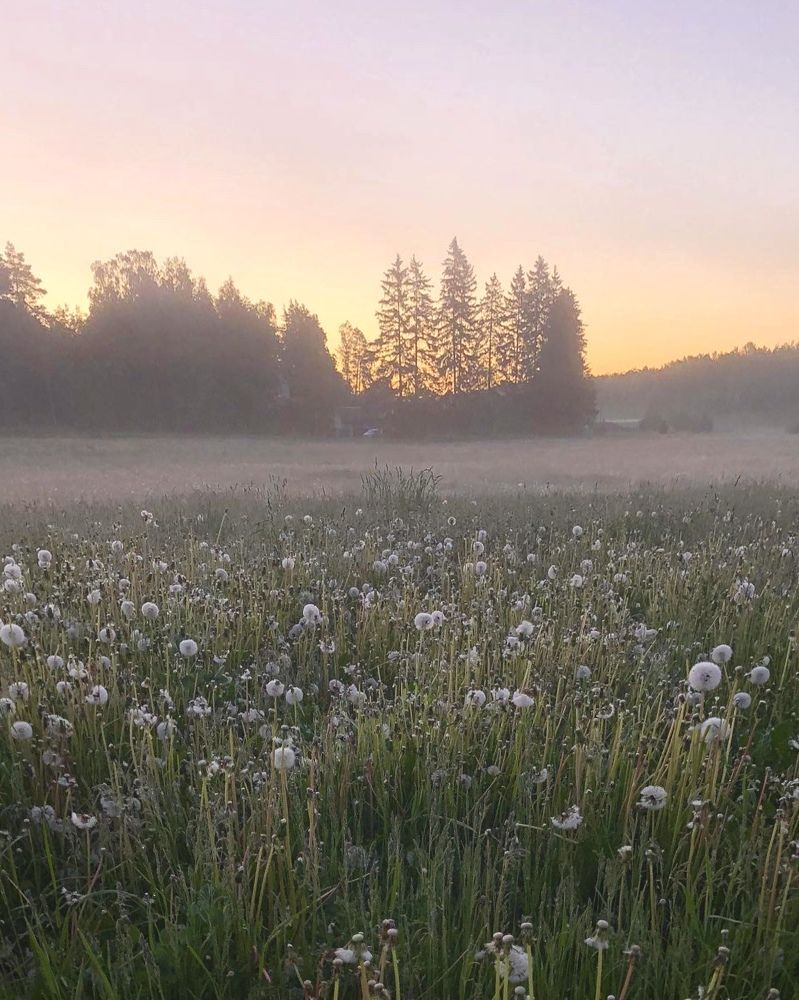 Photograph by Лариса Акинчиц