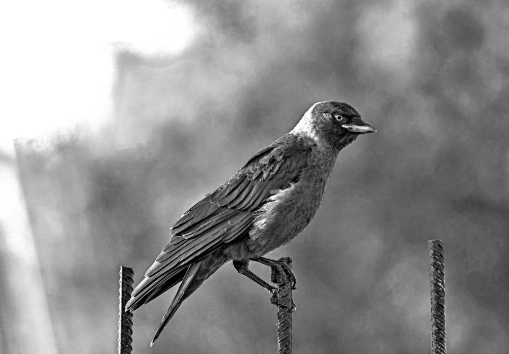 Photograph by Алексей Сиваков