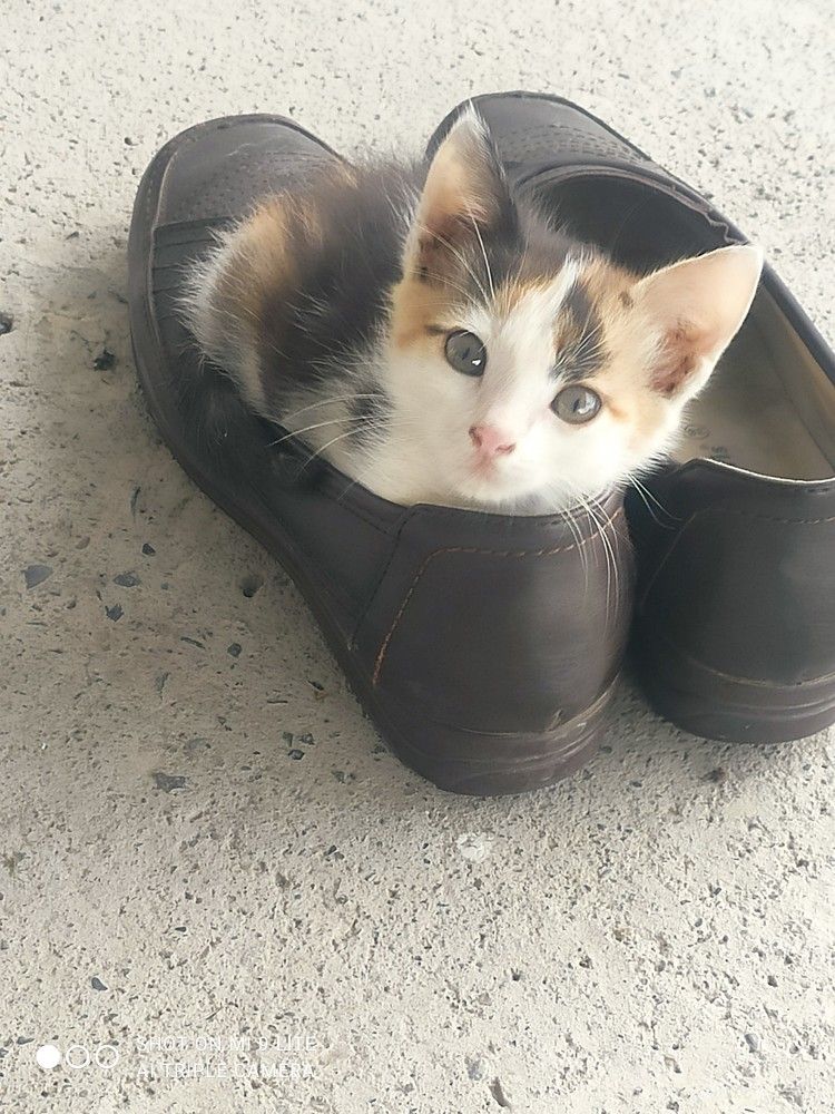 Photograph by Абакар Мирзоев