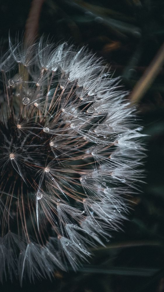 Photograph by Елена Сячина