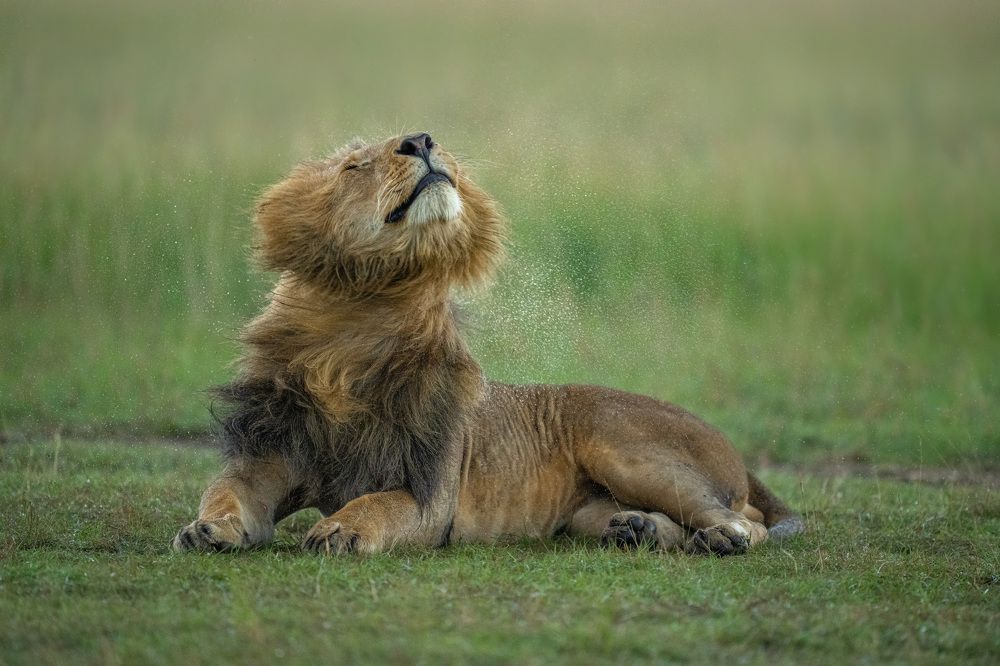 Photograph by Hari Kumar