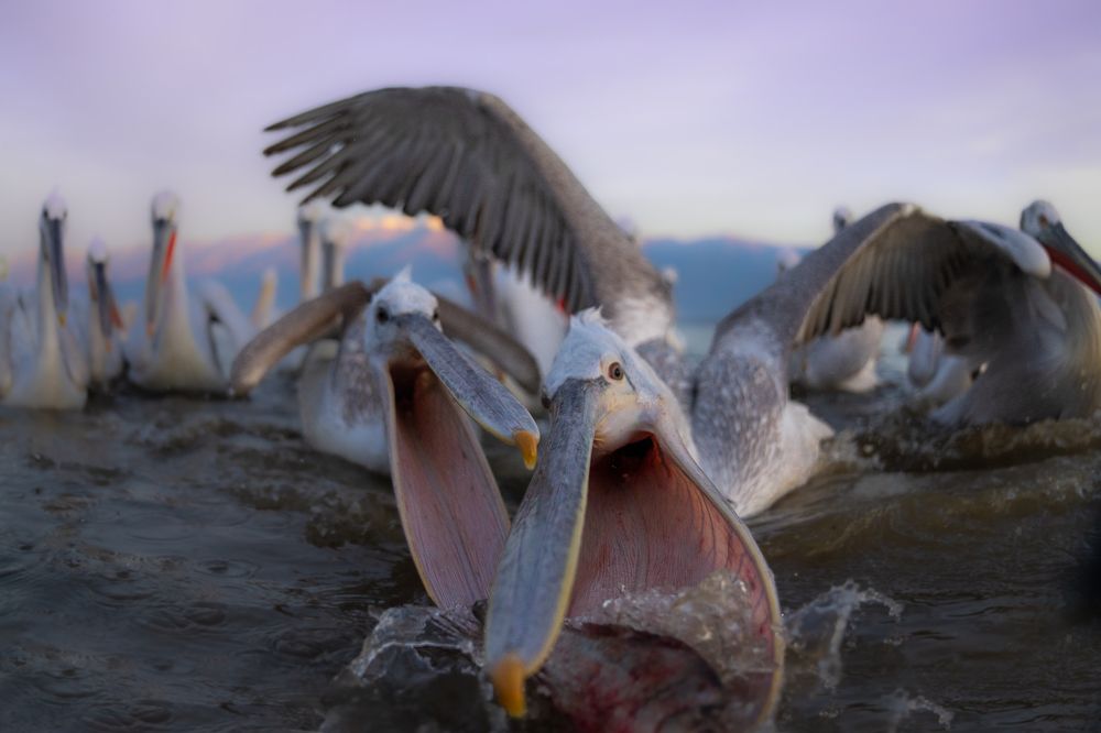 Photograph by Hari Kumar