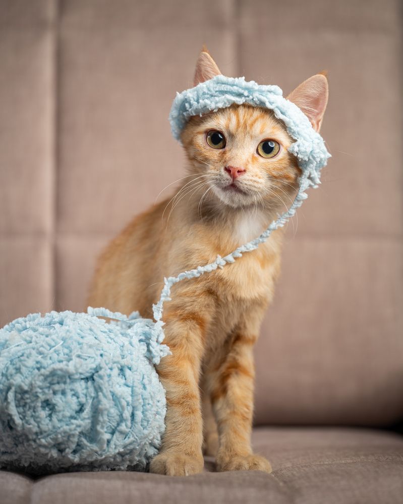 Photograph by Иван Грачев