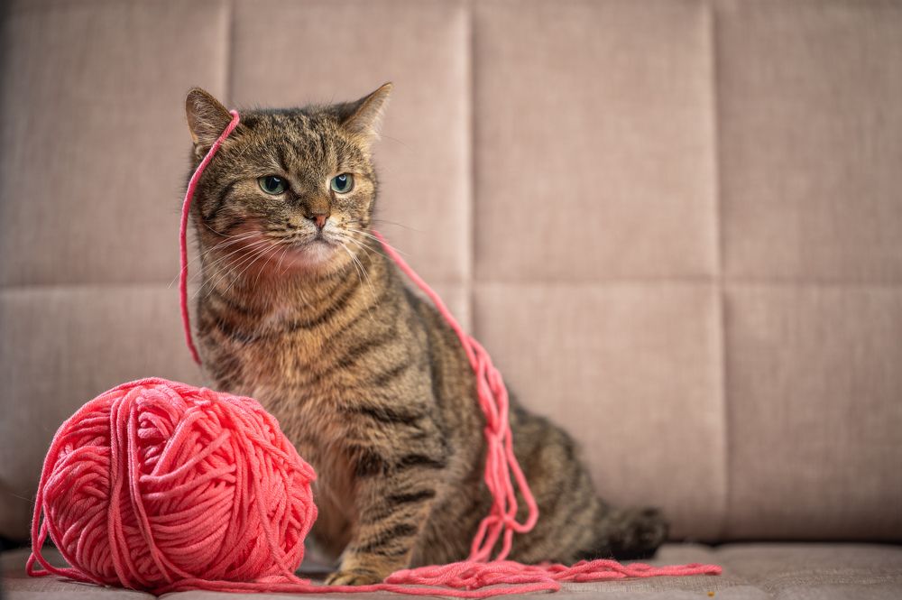 Photograph by Иван Грачев