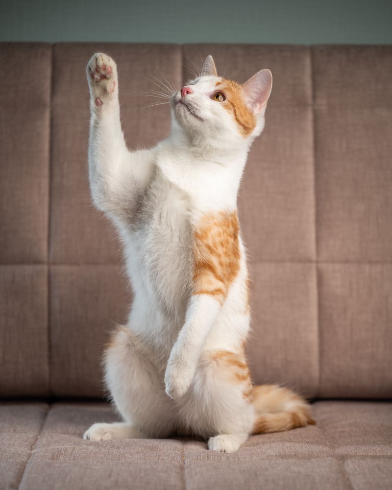 Photograph by Иван Грачев