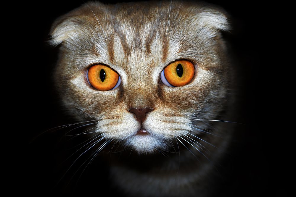 Photograph by Ирина Бабенкова