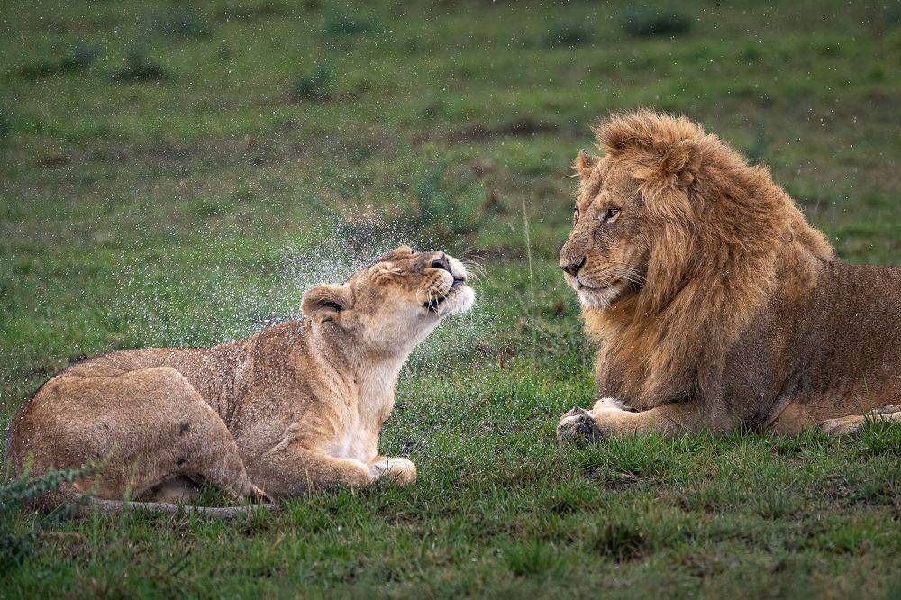 Photograph by Jayakumar MN