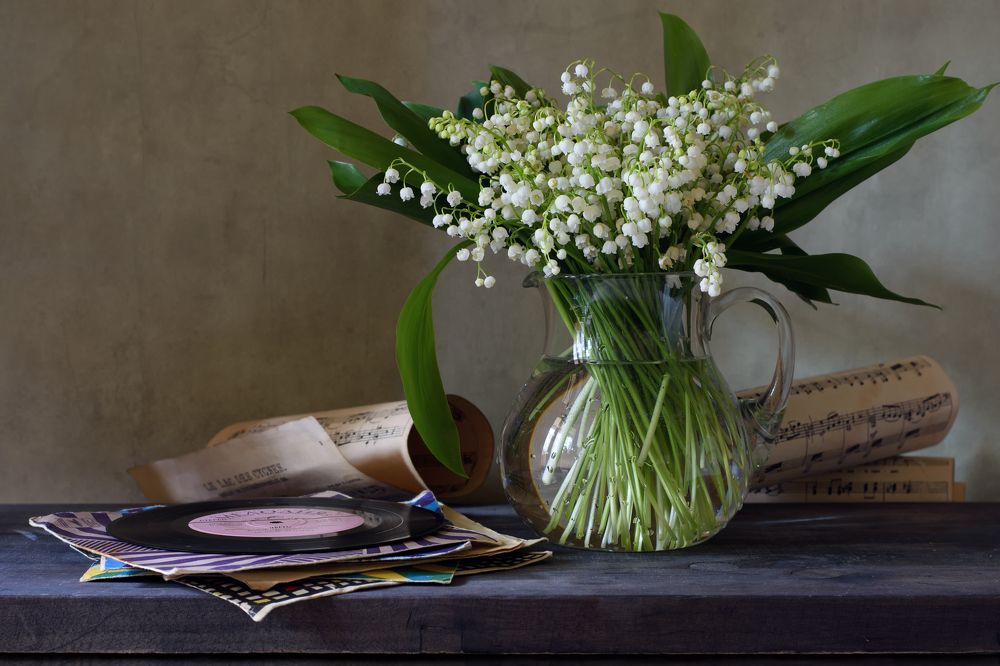 Photograph by Елена Мустафина