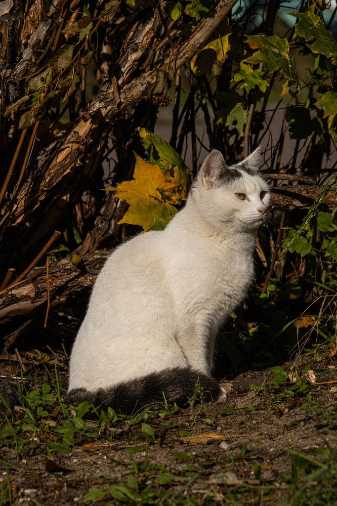 Photograph by Максим Миллер