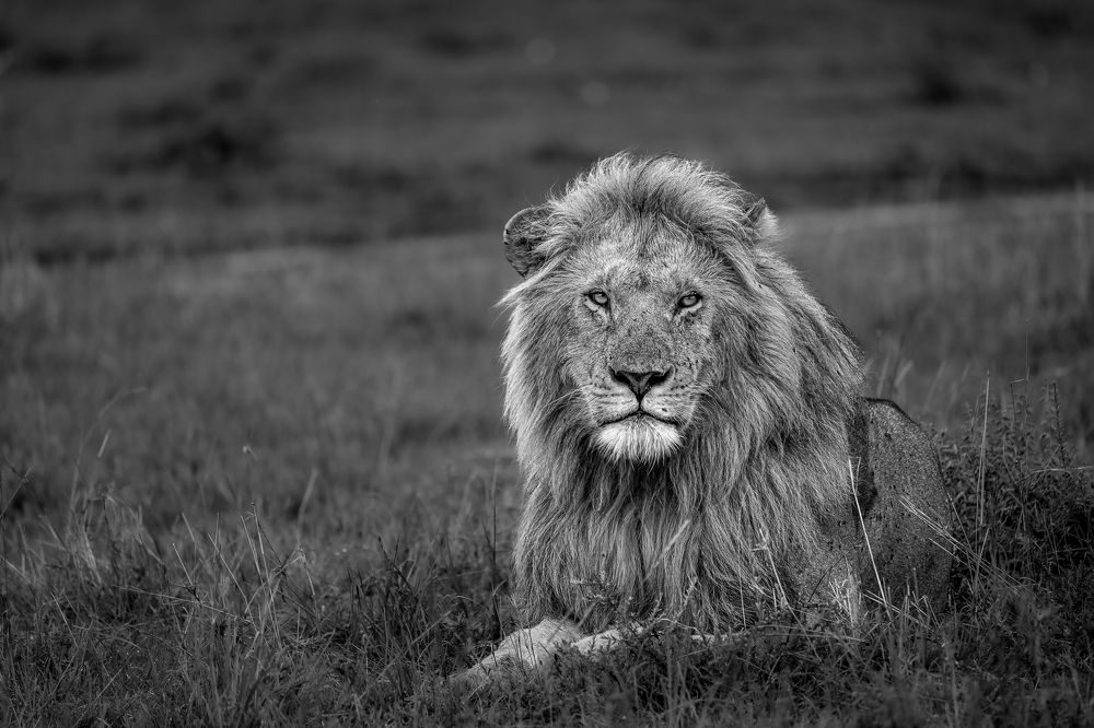 Photograph by Jayakumar MN