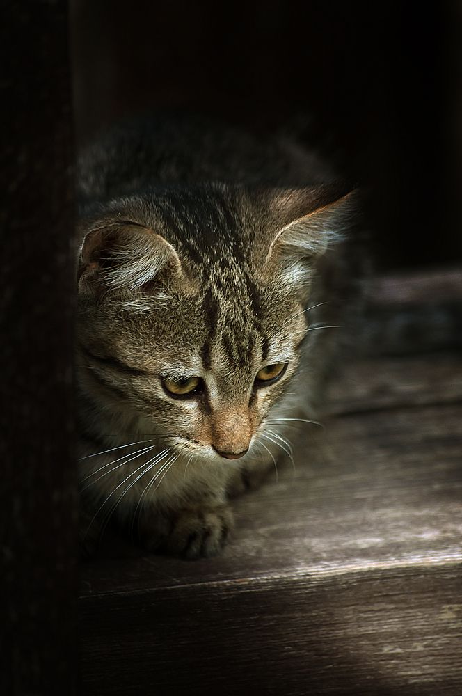 Photograph by Ирина Бабенкова