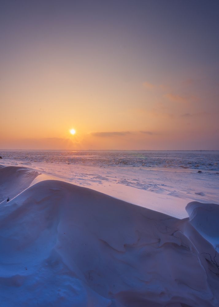 Photograph by Новиков Александр