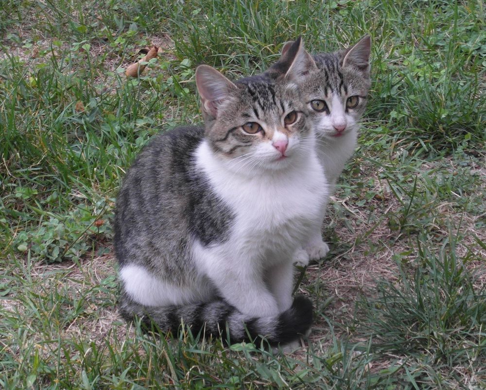 Photograph by Абакар Мирзоев