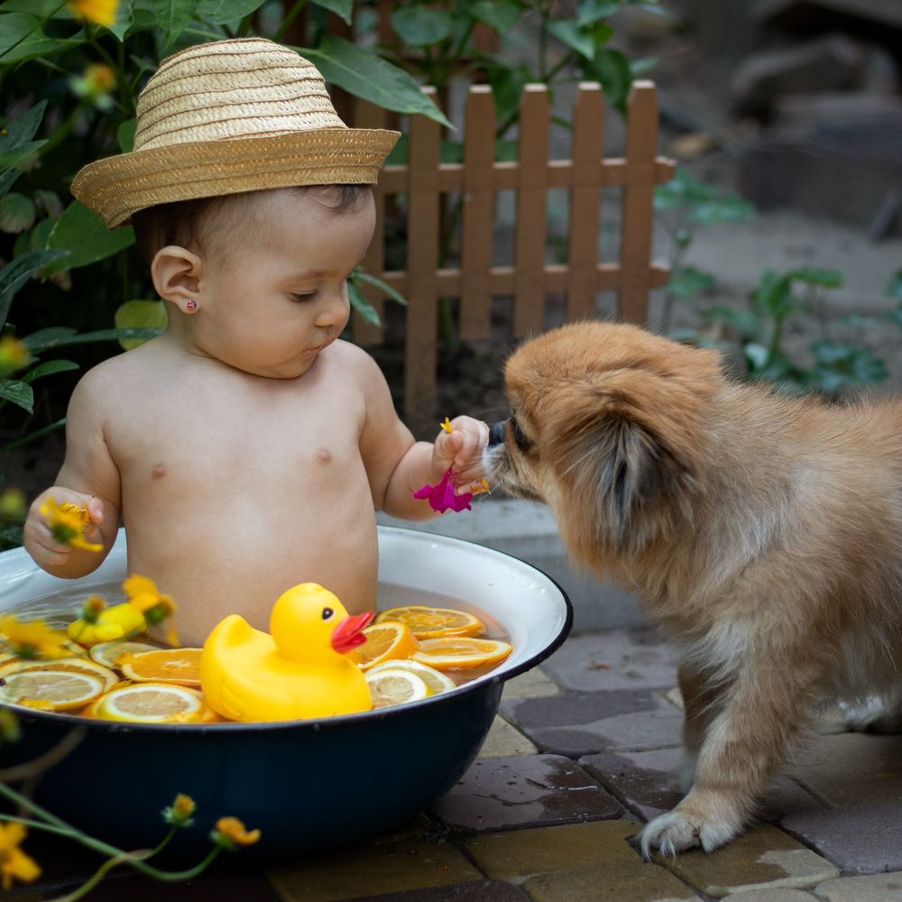 Photograph by Анастасия Трофимовская