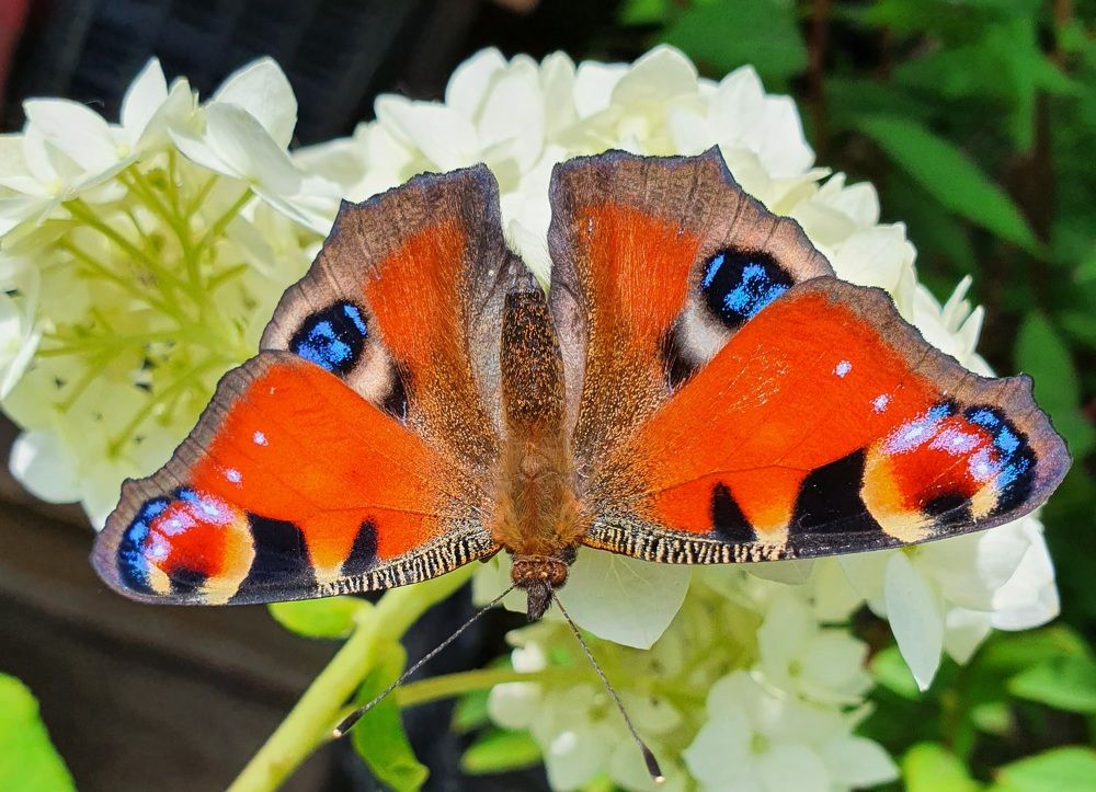 Photograph by Жанна