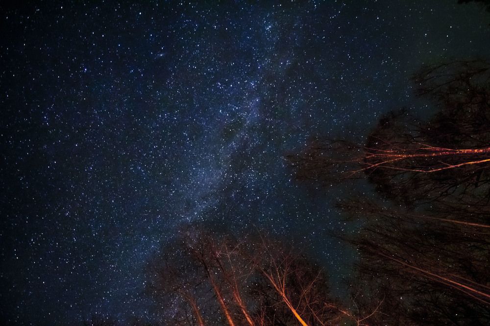 Photograph by Татьяна Зверева