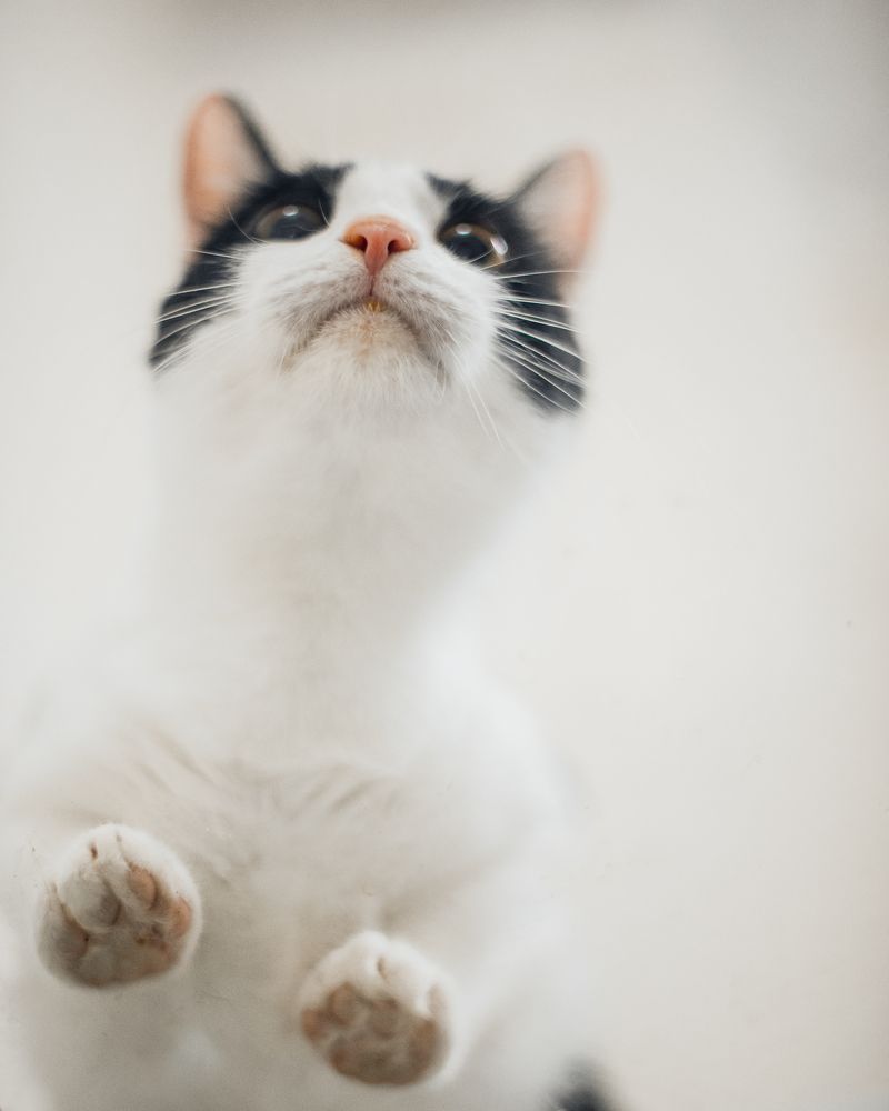 Photograph by Наталья Засенко