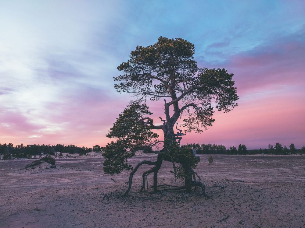Photograph by Галина Андреева