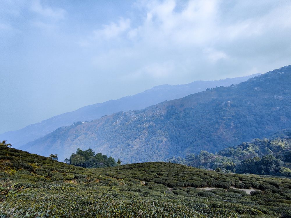 Photograph by Topu Saha