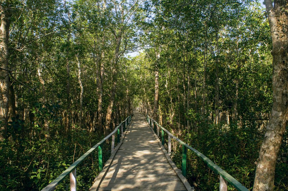 Photograph by Topu Saha