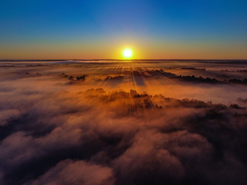 Рассвет над полем