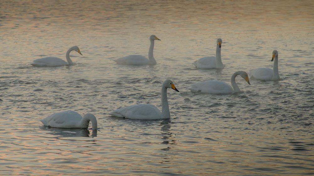 Photograph by Евгений Владимиров