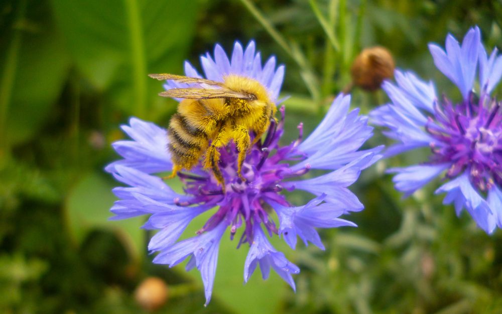 Photograph by Бехтерев Вадим