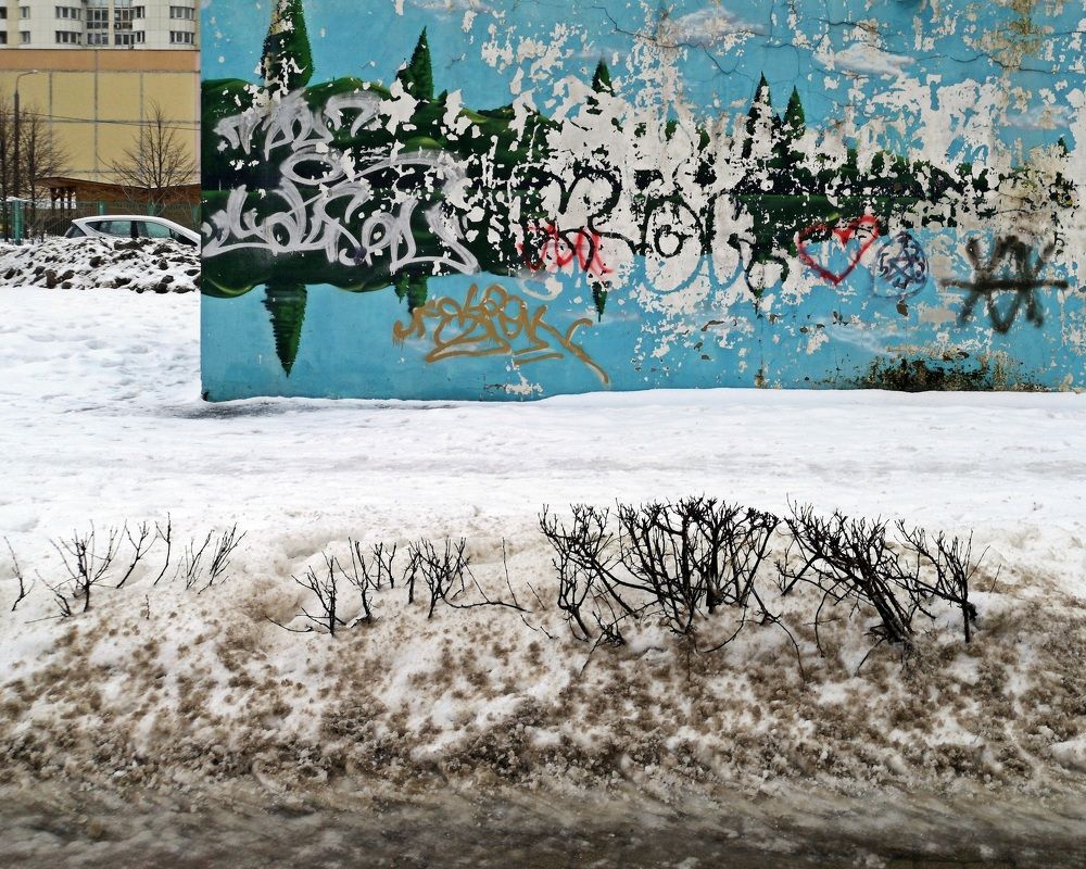 Photograph by Михаил Янкин