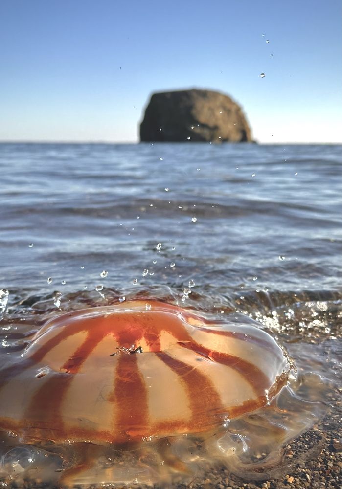 Photograph by Павел Петухов