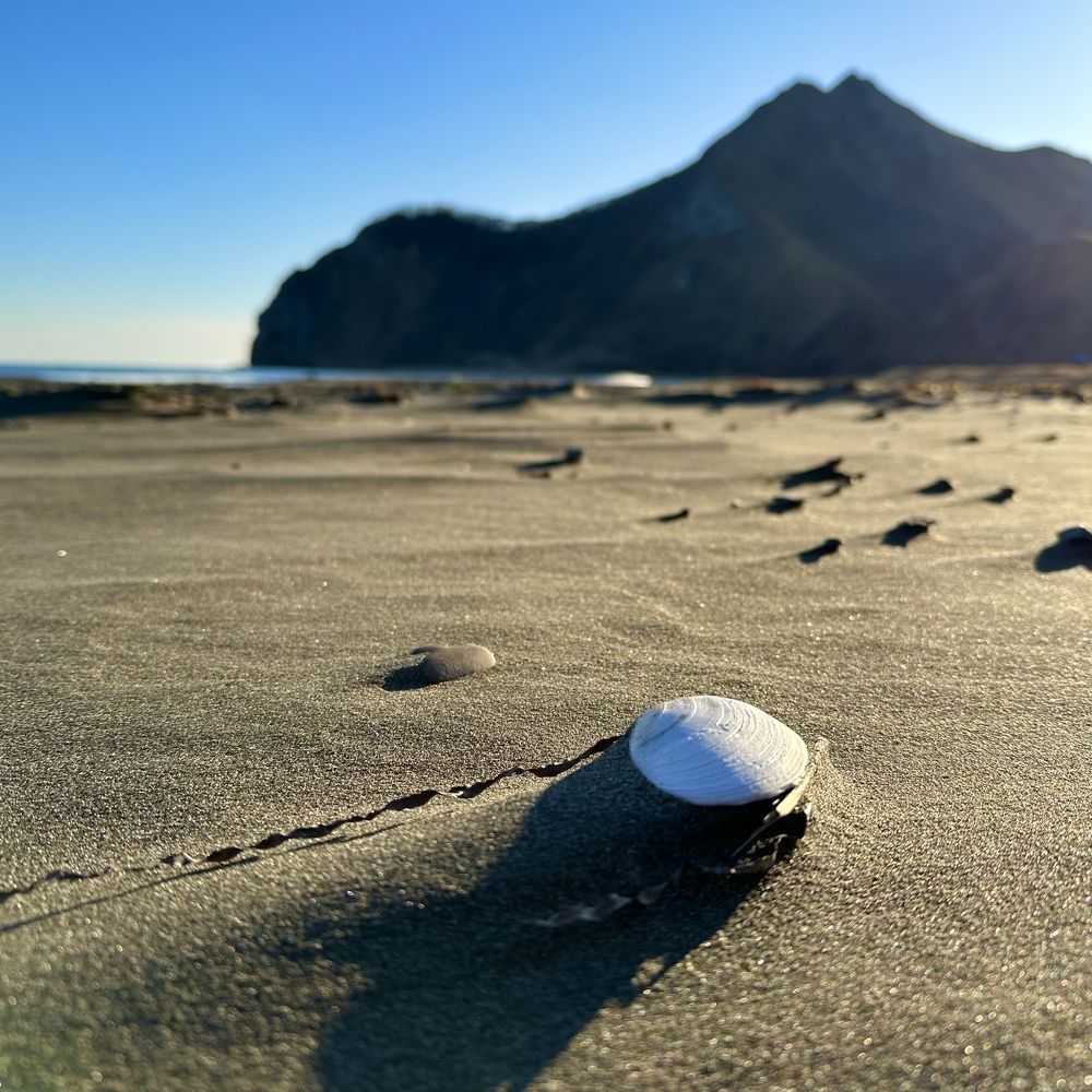 Photograph by Павел Петухов