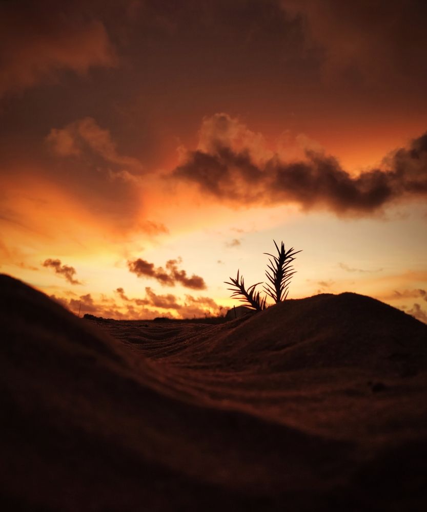 Photograph by Emmanuel