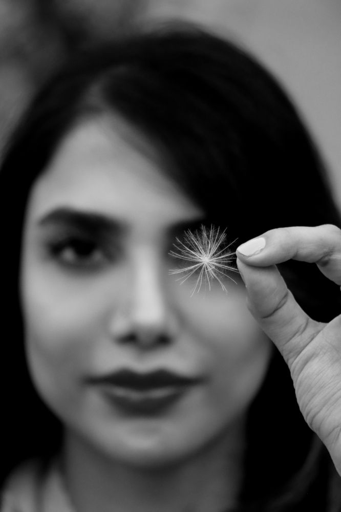 Photograph by Neda Faraz