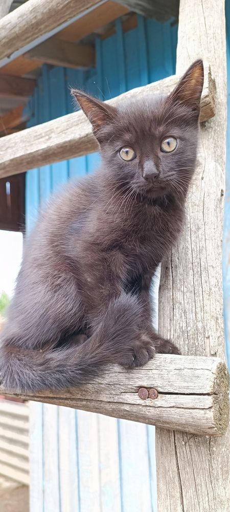 Мам, мне страшно!